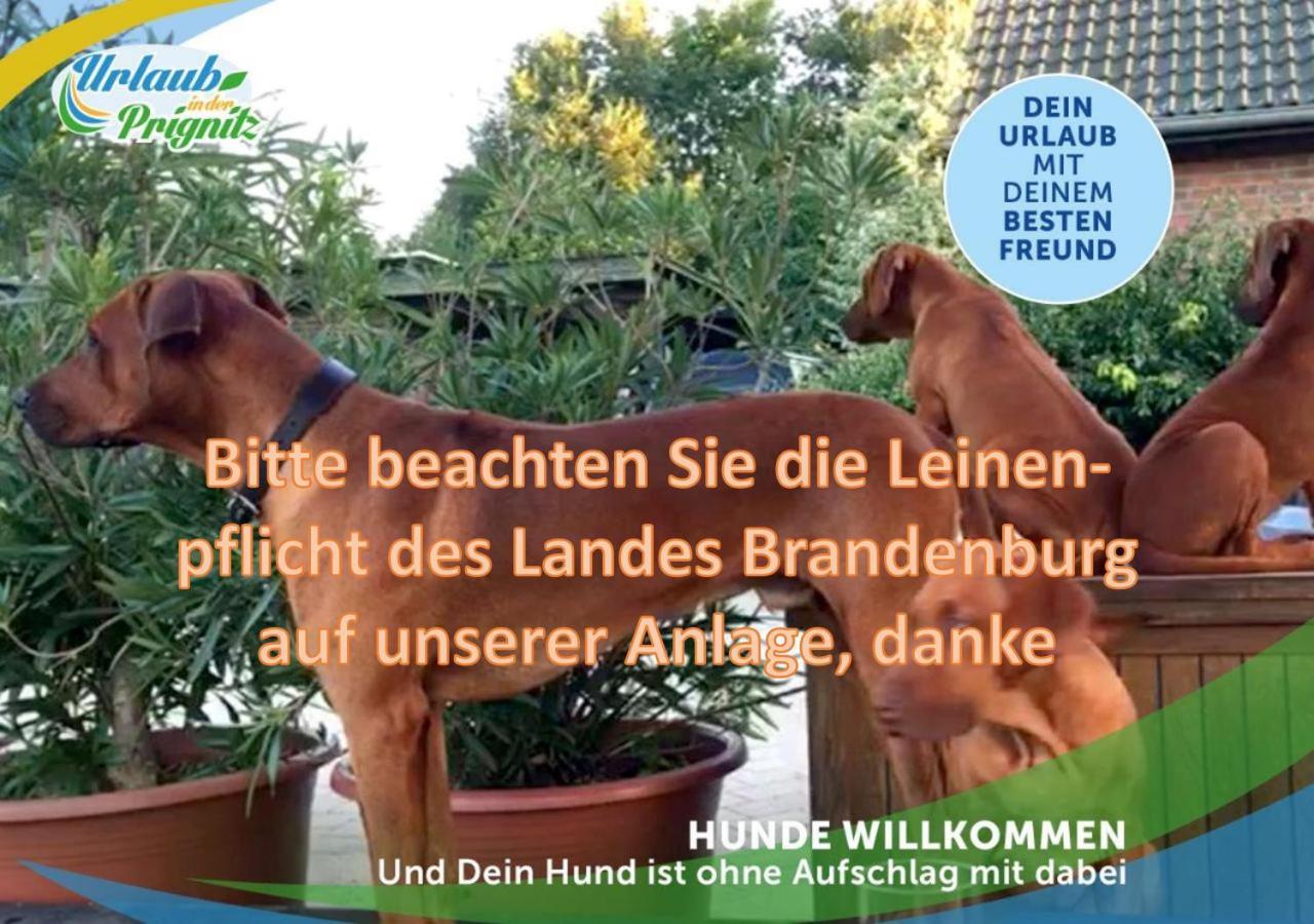 Wellness-Suite-Im-Wald-Am-See Kyritz Extérieur photo